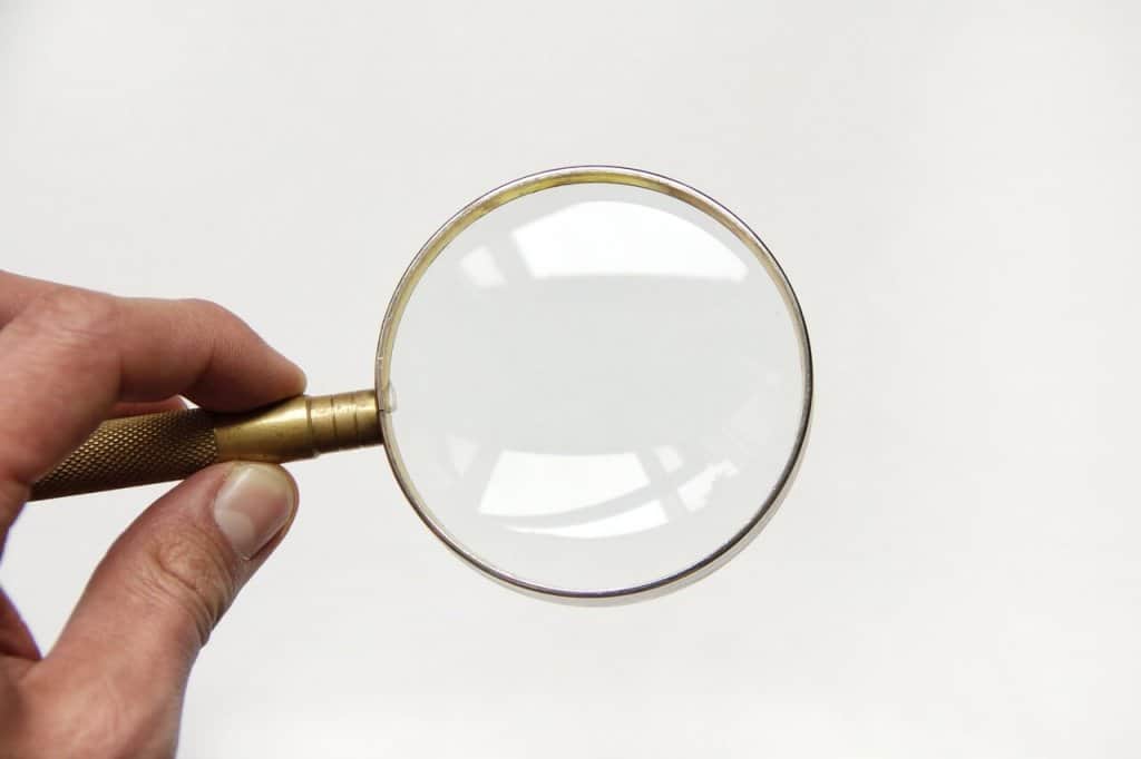 magnifying glass check