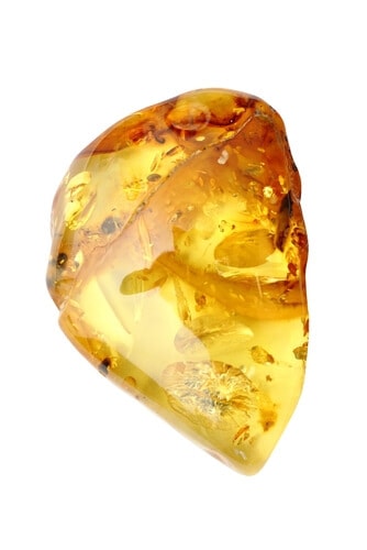 amber organic gemstones
