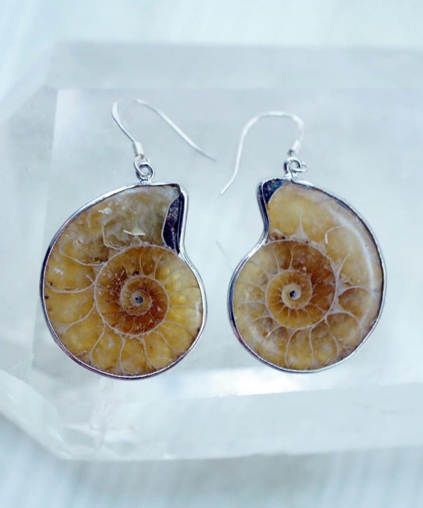 ammonite earrings silver setting