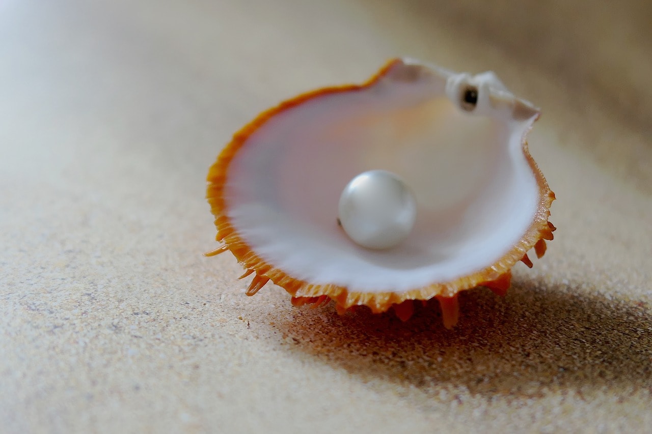 What is south sea pearl