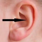 conch piercing guide