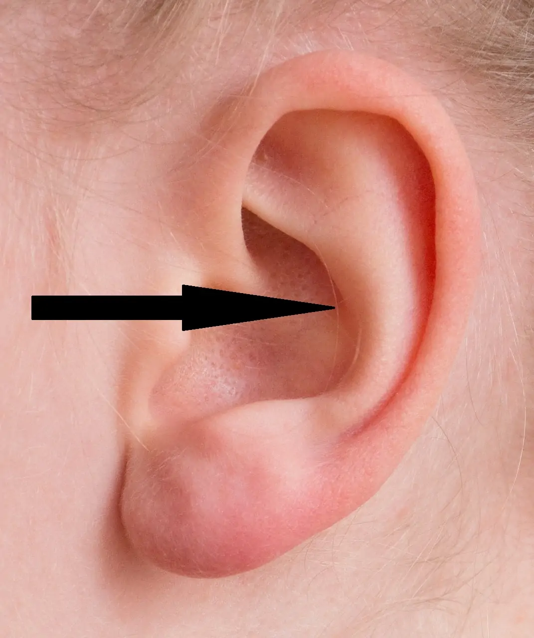 conch piercing guide