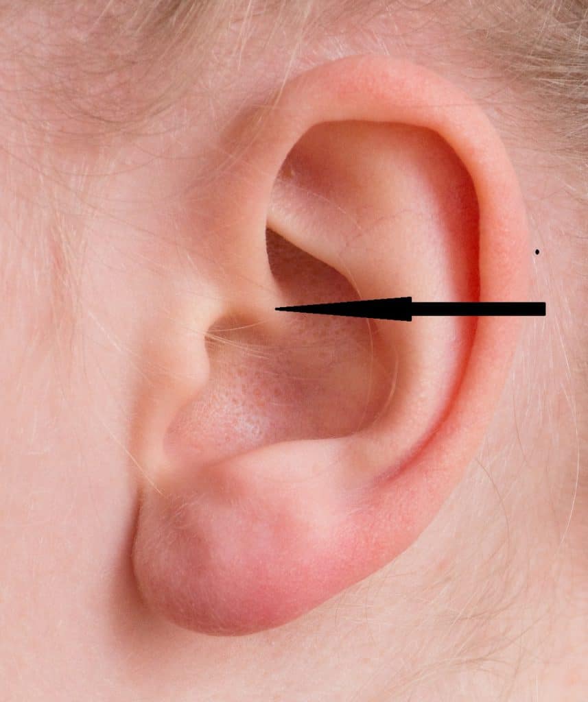 Choosing the Perfect Jewelry for Your Daith Piercing Jewelry Guide