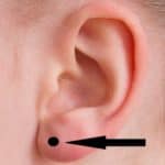 earlobe piercing guide