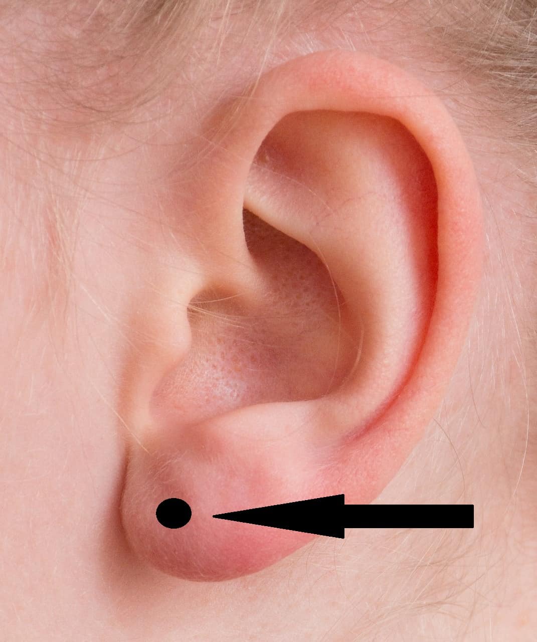 earlobe piercing guide