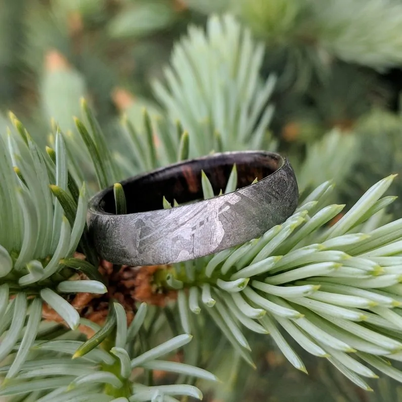 meteorite men's wedding band