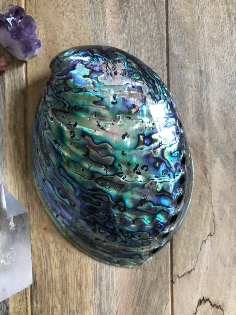 Your Guide to Abalone Jewelry [With Images] | Jewelry Guide