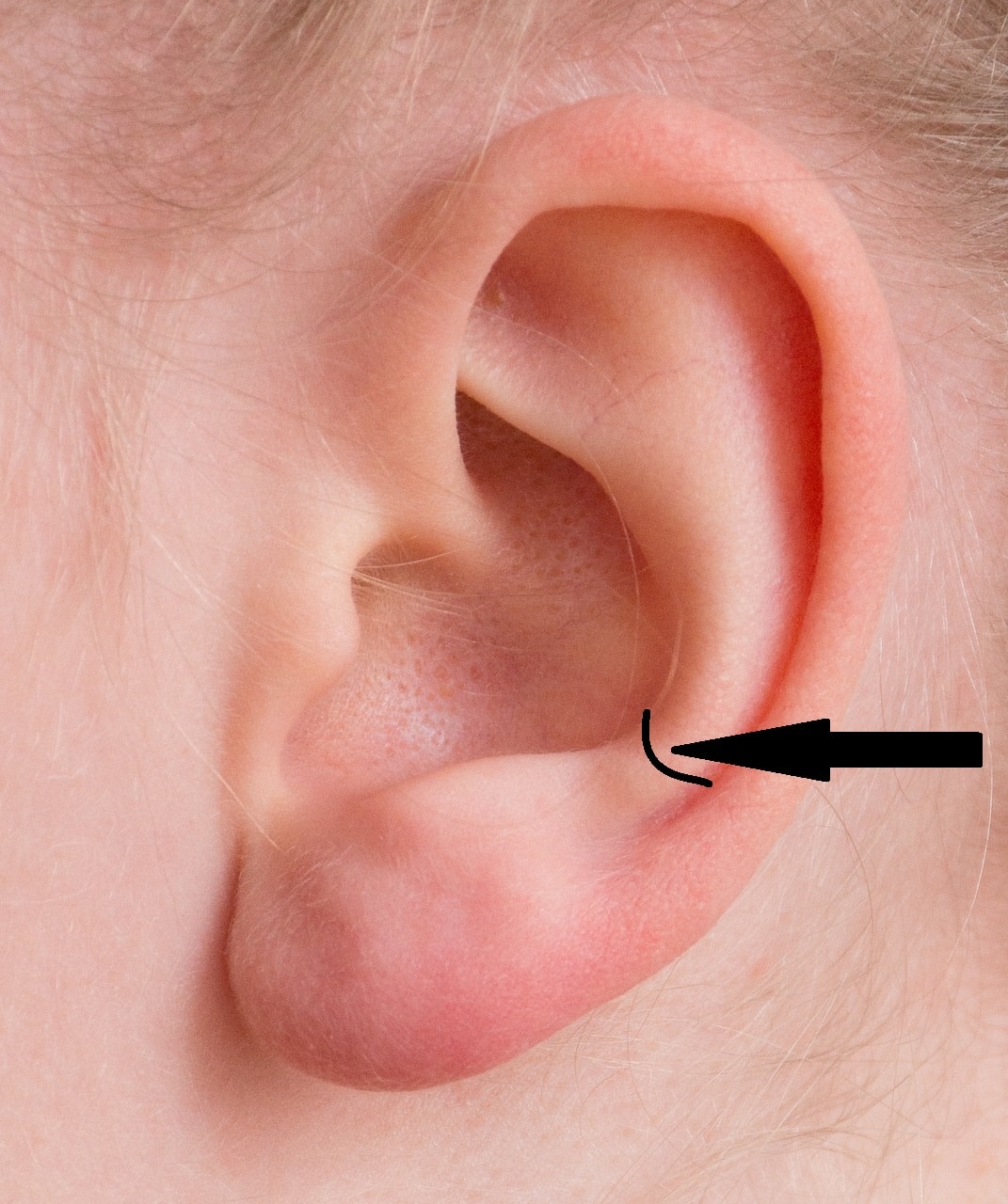 Anti tragus piercing location on ear