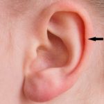 Auricle piercing location in ear