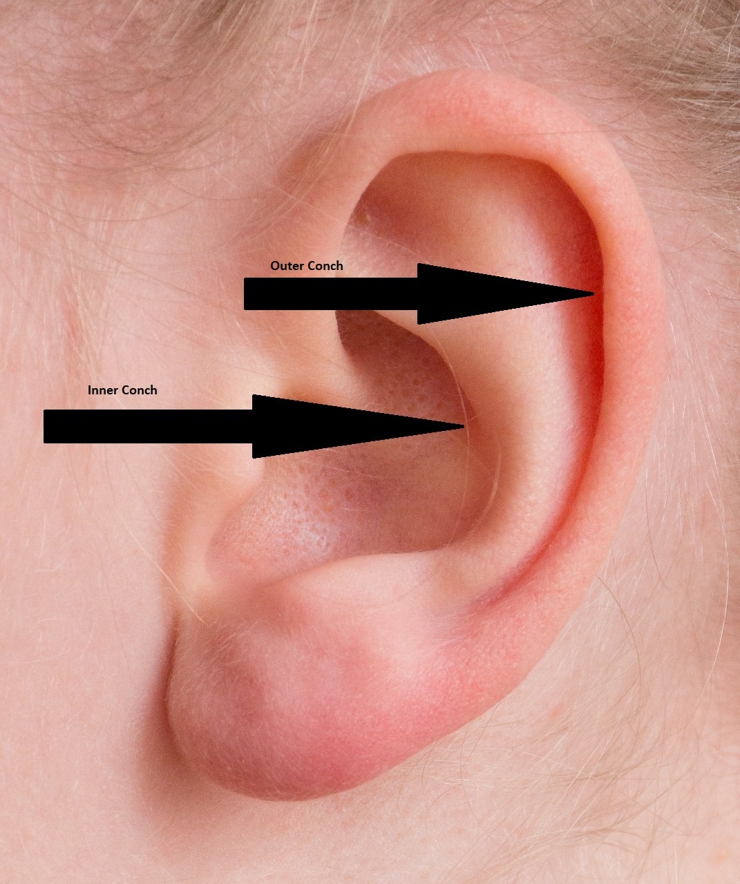 Conch piercing location on ear