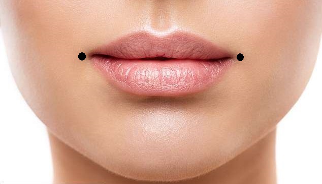dahlia lip Piercing