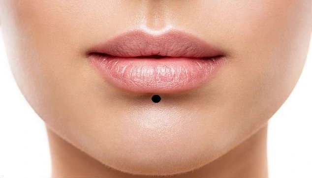 Bar Fake Lip Ring — Inchoo Bijoux