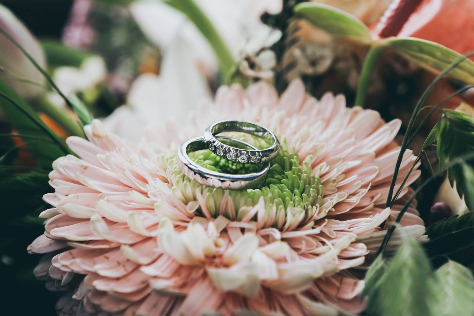 diamond rings on flowers