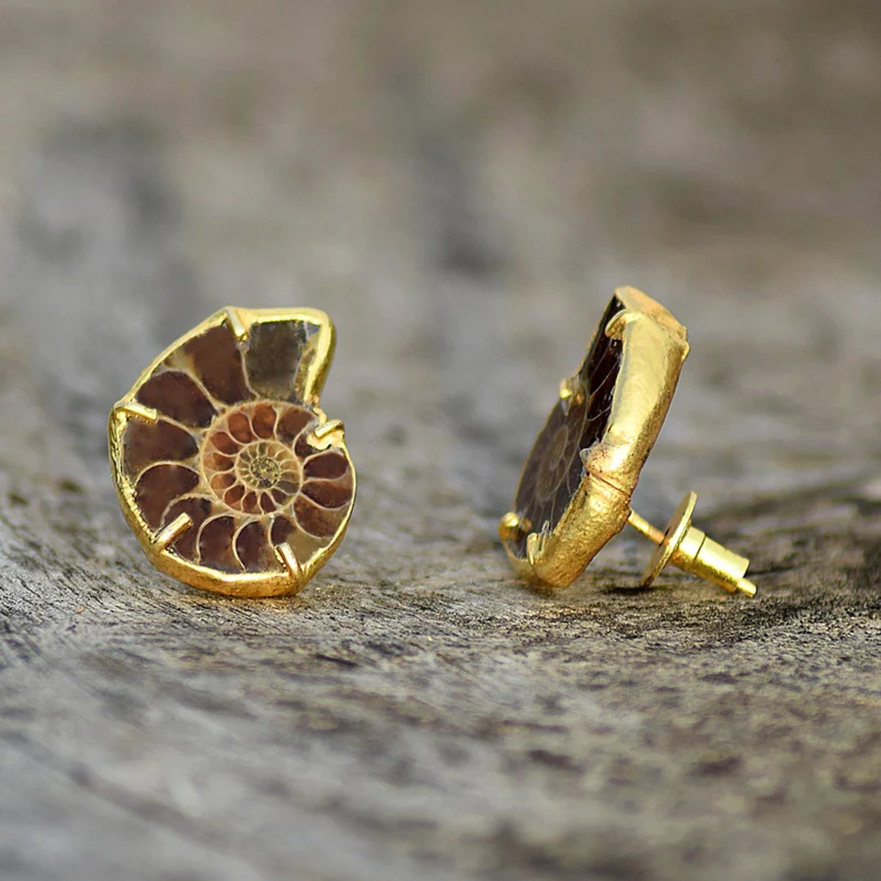 Ammonite stud earrings