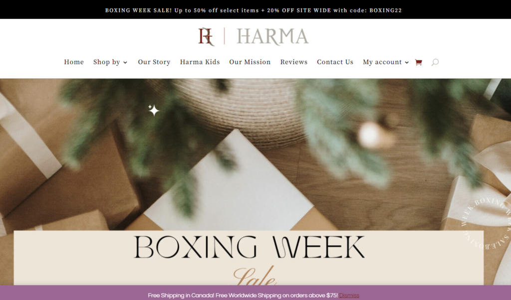 Where to Buy Affordable Jewelry in Canada in 2023