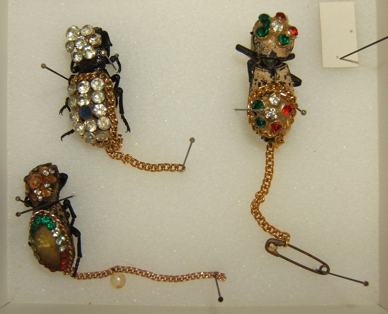roaches turned into jewelry 