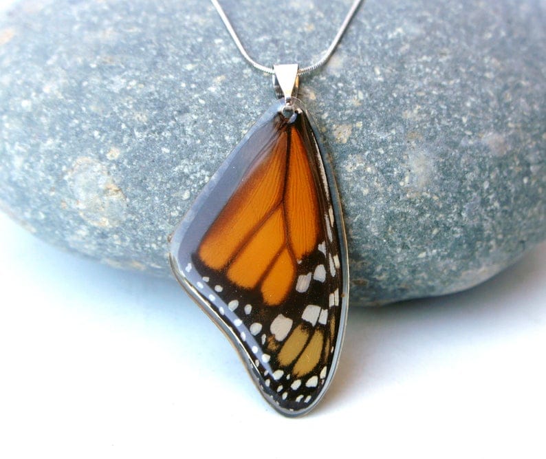 monarch butterfly wing necklace on a stone