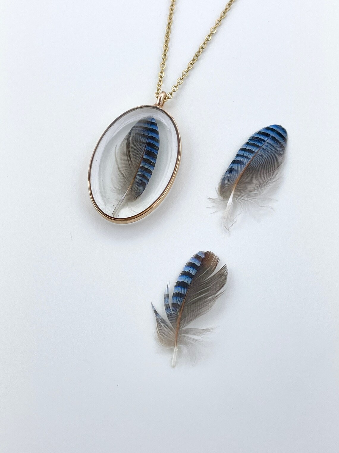 bluejay small feather in resin necklace