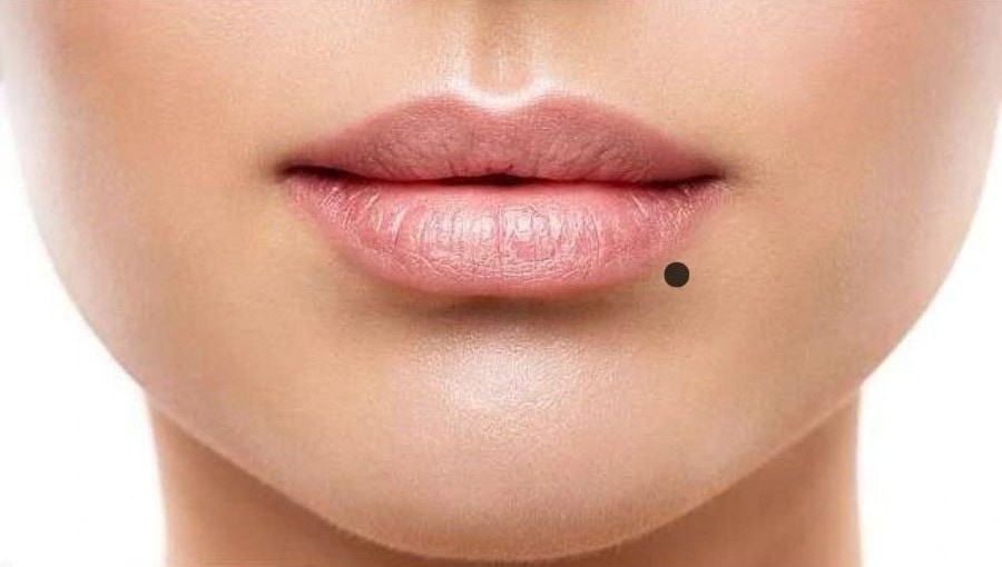 Side labret on sale