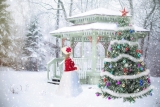 How to Choose the Perfect Christmas Backdrop for Your Photos