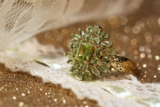 How to Buy Peridot Jewelry – A Comprehensive Guide