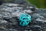 Howlite 101: The Ultimate Buyer’s Guide to This Intriguing Mineral